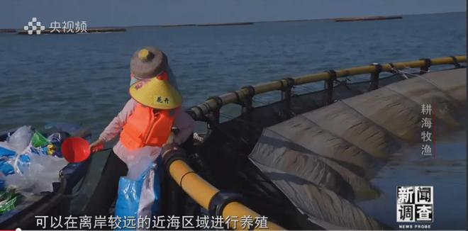 央视《新闻调查》重磅聚焦,湛江水产养殖“游”向深远海