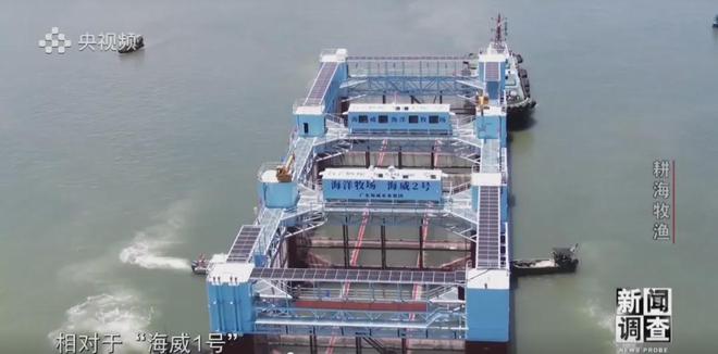 央视《新闻调查》重磅聚焦,湛江水产养殖“游”向深远海