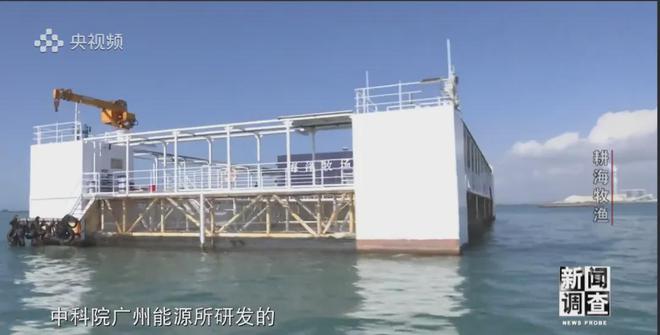 央视《新闻调查》重磅聚焦,湛江水产养殖“游”向深远海