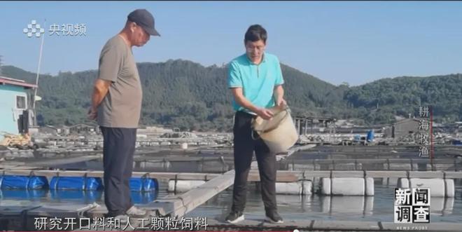 央视《新闻调查》重磅聚焦,湛江水产养殖“游”向深远海