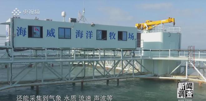 央视《新闻调查》重磅聚焦,湛江水产养殖“游”向深远海