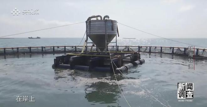 央视《新闻调查》重磅聚焦,湛江水产养殖“游”向深远海