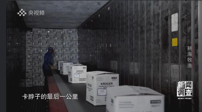 央视《新闻调查》重磅聚焦,湛江水产养殖“游”向深远海