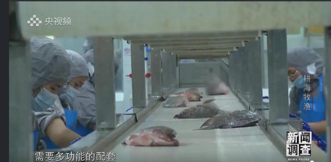 央视《新闻调查》重磅聚焦,湛江水产养殖“游”向深远海