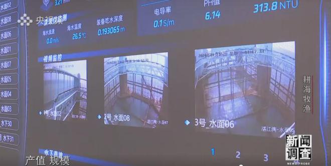 央视《新闻调查》重磅聚焦,湛江水产养殖“游”向深远海