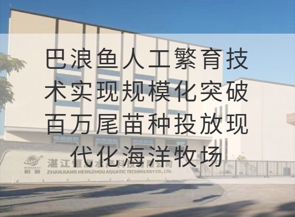 巴浪鱼人工繁育技术实现规模化突破 百万尾苗种投放现代化海洋牧场