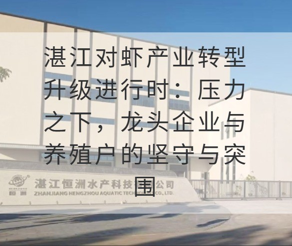 湛江对虾产业转型升级进行时：压力之下，龙头企业与养殖户的坚守与突围