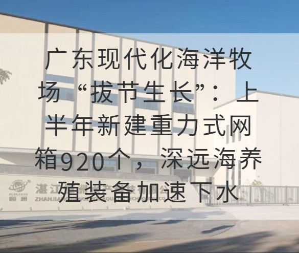 广东现代化海洋牧场“拔节生长”：上半年新建重力式网箱920个，深远海养殖装备加速下水